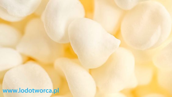 Najrzetelniejsze lody włoskie w Rzeszowie