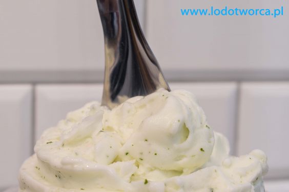 Dobre lody Rzeszów