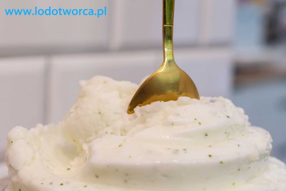 Fajne lody Rzeszów