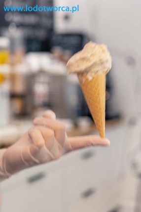 lody Rzeszów