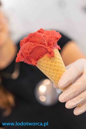 Niezwykłe lody Rzeszów