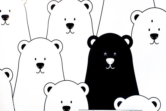 Niezwykłe  lody w lodziarni w Rzeszowie