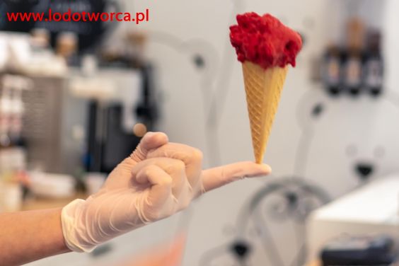 Lody Rzeszów najwyborniejsza lodziarnia
